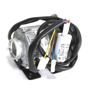 240V Internal Pump Motor