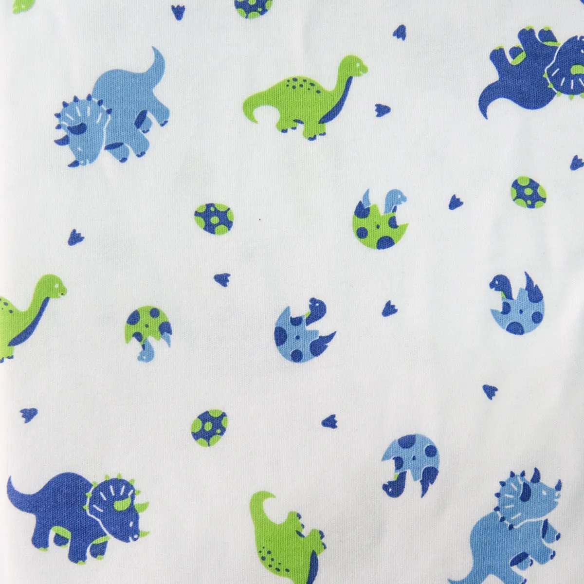 Baby Dinosaurs Pajamas | Kids