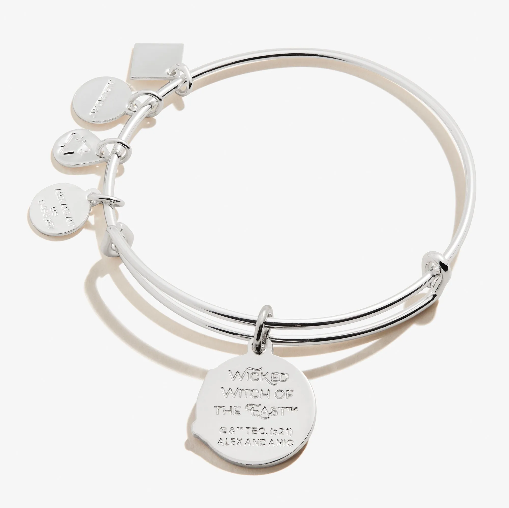 Wizard of Oz Wicked Witch of the East Charm Bangle